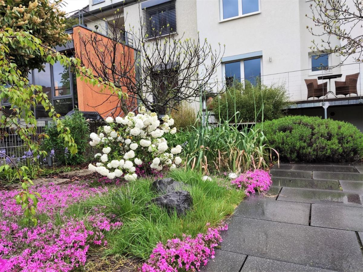 Zen Apartment - Spacious - Garden - Kitchen Karlsruhe Buitenkant foto